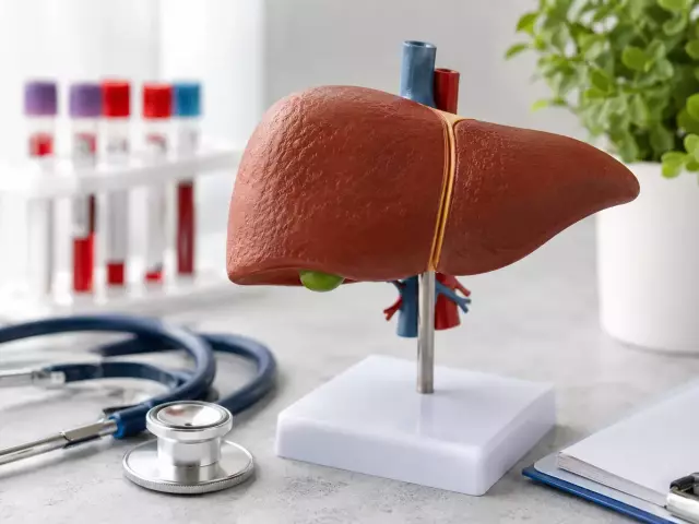 world-hepatitis-day-liver-health